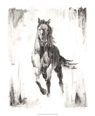 Rustic Black Stallion II