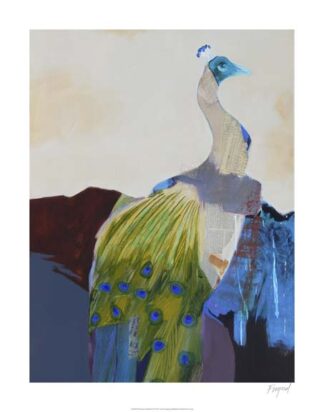 Peacock Transition I