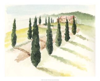 Tuscan Villa IV