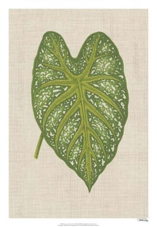 Leaves on Linen I