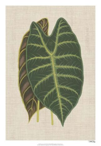 Leaves on Linen III