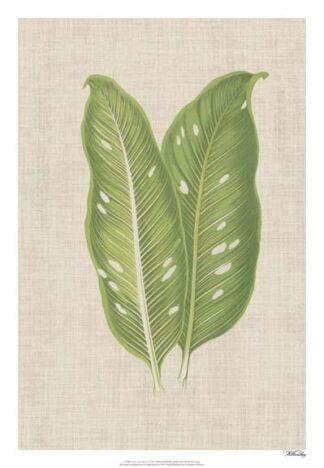 Leaves on Linen V