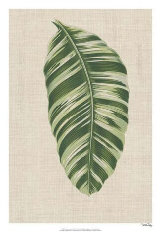 Leaves on Linen VI