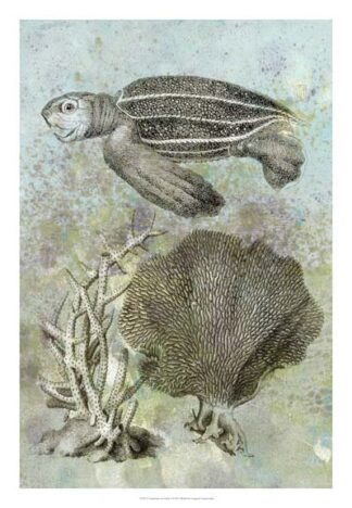 Underwater Sea Turtle II