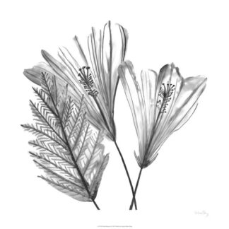 Floral Silhouette II