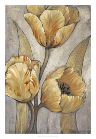 Ochre & Grey Tulips I