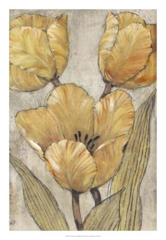 Ochre & Grey Tulips II