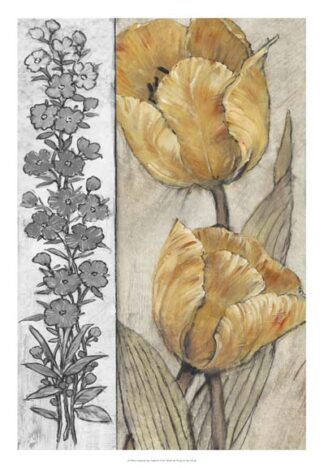 Ochre & Grey Tulips IV