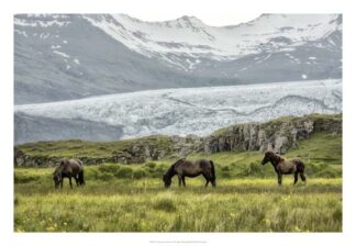 Grazing at the Glacier
