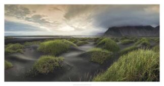 Black Dunes Panorama