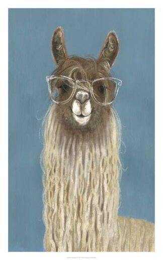 Llama Specs IV