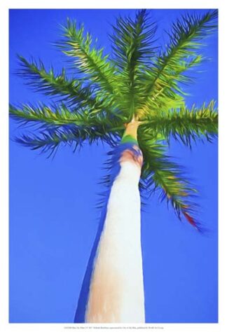 Blue Sky Palm I