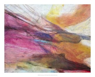 Fuchsia Expression II