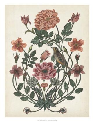 Treasures of the Earth I