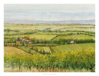 Wine Country View I