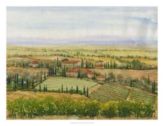 Wine Country View II