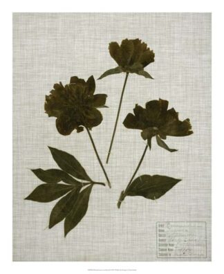 Pressed Leaves on Linen II