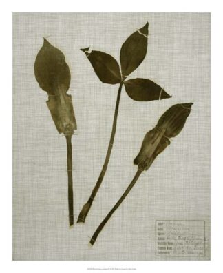 Pressed Leaves on Linen IV