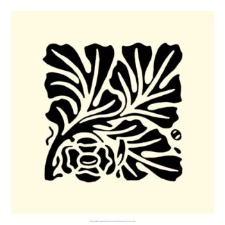 B&W Graphic Beauty III