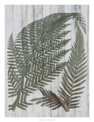 Rustic Greenery I
