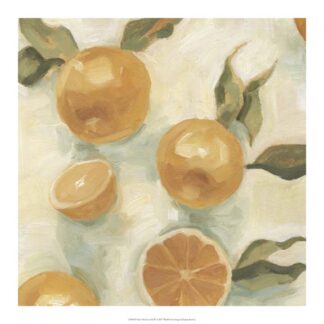 Citrus Study in Oil IV