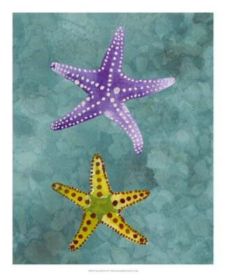 Twin Starfish II