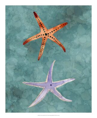 Twin Starfish III