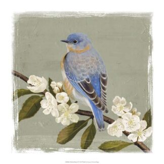 Bluebird Branch II