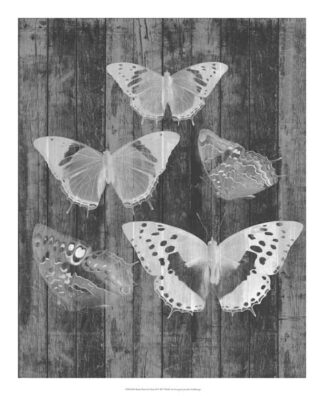 Rustic Butterfly Chart II