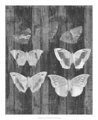 Rustic Butterfly Chart III