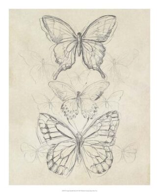 Vintage Butterfly Sketch II