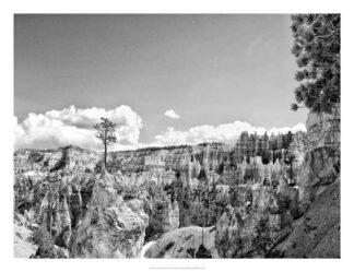 Canyon Lands VI