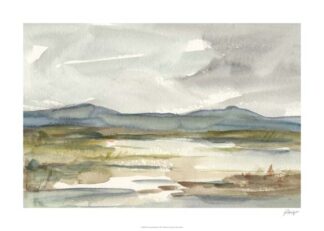 Overcast Wetland I