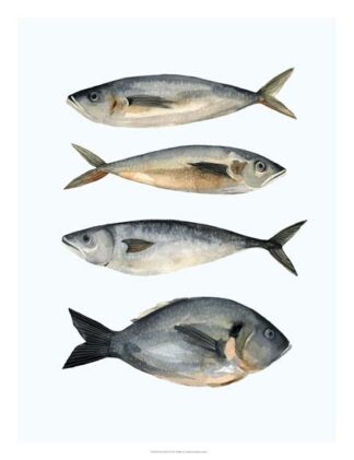 Four Fish I