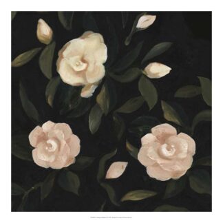 Evening Gardenias II
