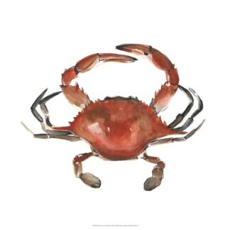 Watercolor Crab I