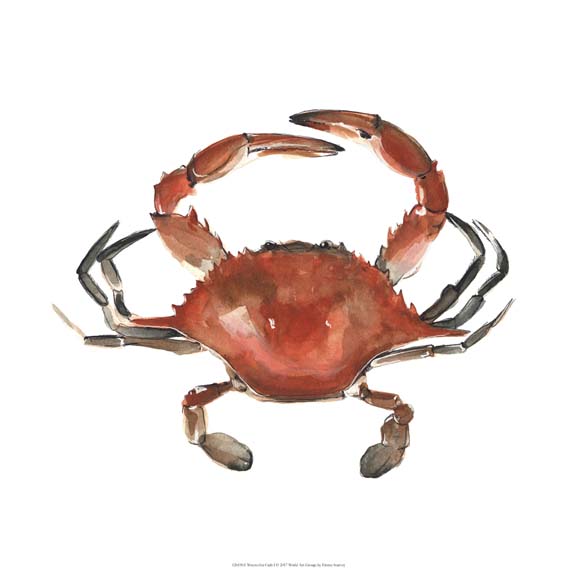 Watercolor Crab I