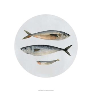 Three Fish I