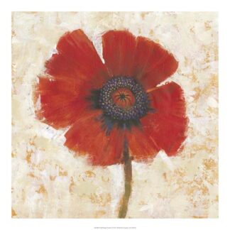 Red Poppy Portrait I