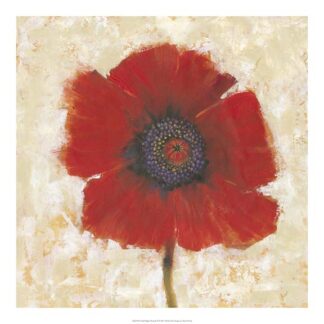 Red Poppy Portrait II