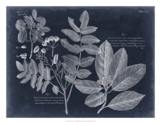 Foliage on Navy V