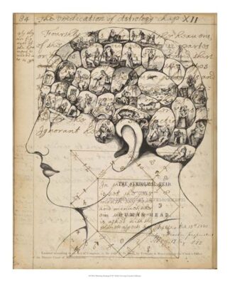 Phrenology Bookpage