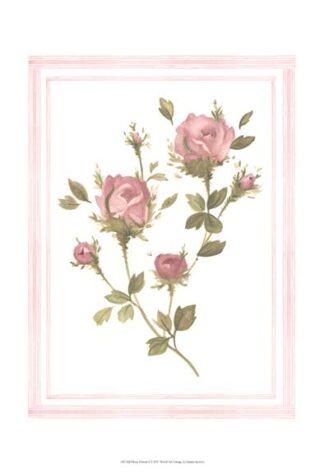 Rose Pattern I
