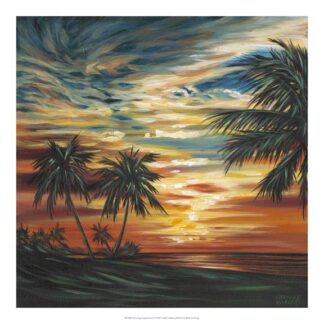 Stunning Tropical Sunset I