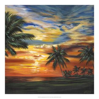 Stunning Tropical Sunset II