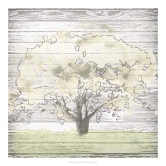 Barn Tree I