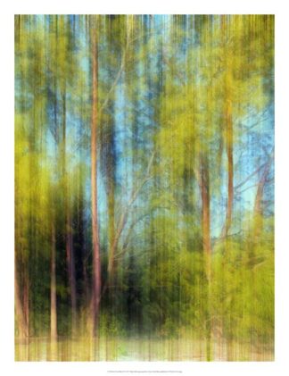 Tree Blur II