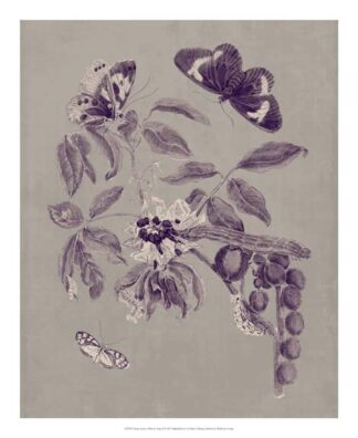 Nature Study in Plum & Taupe II