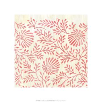 Weathered Patterns in Red VII