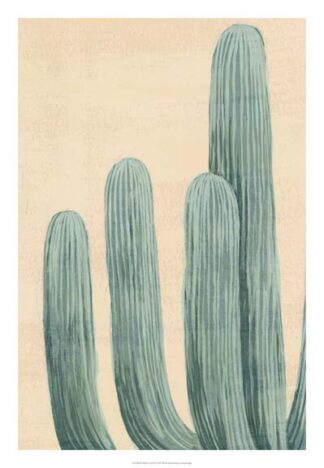 Dusty Cacti I